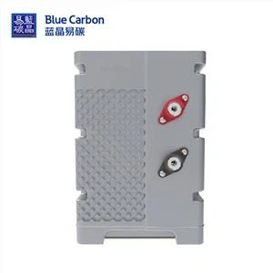 12V 200Ah LiFePO4-batterij